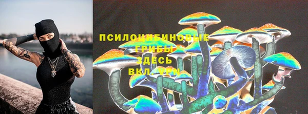 крисы Баксан