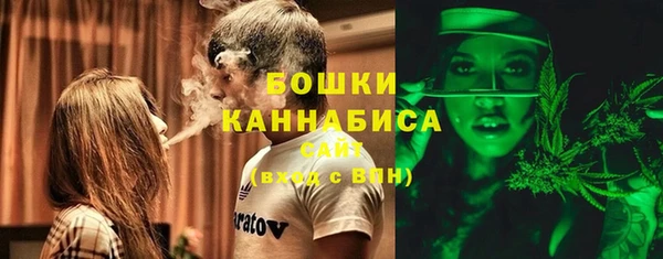 Альфа ПВП Аркадак