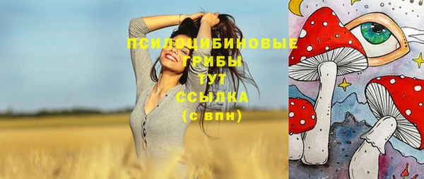 хмурый Армянск
