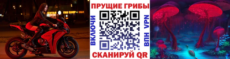 Псилоцибиновые грибы мицелий hydra рабочий сайт Харовск